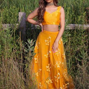 The Saree Room Lehenga Skirt and Top